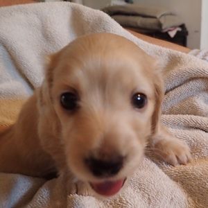 Meet your Posher, Julie